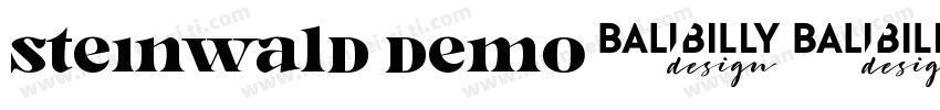 Steinwald DEMO字体转换